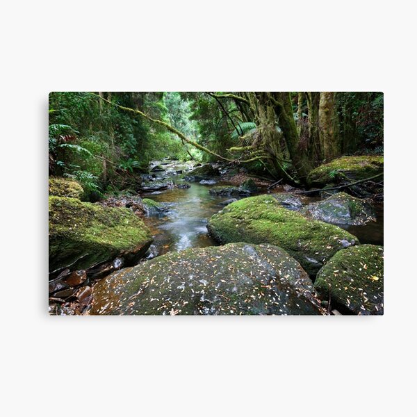 Nelson River Canvas Print