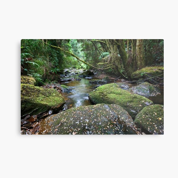 Nelson River Metal Print