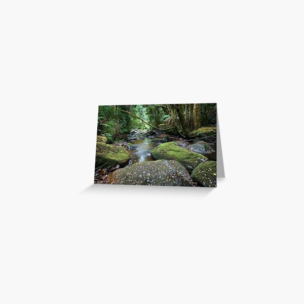Nelson River Greeting Card