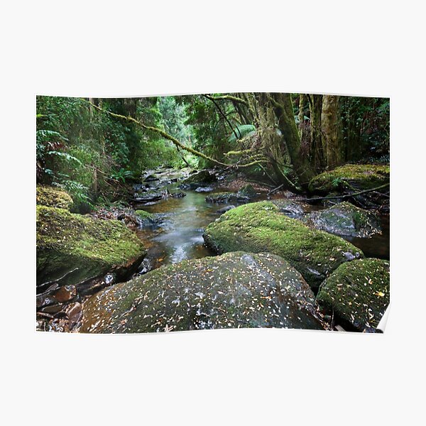 Nelson River Poster