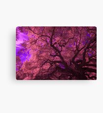 Mystical Angel Canvas Print