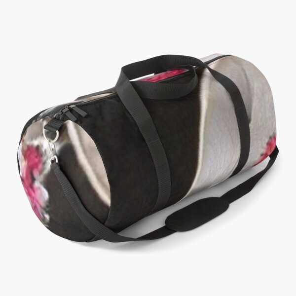Item preview, I was born to explore, have adventures designed and sold by Chris Purdy.