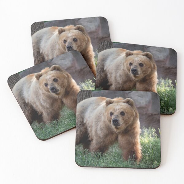 Item preview, Kamchatka bear in the grass  designed and sold by LubosChlubny.