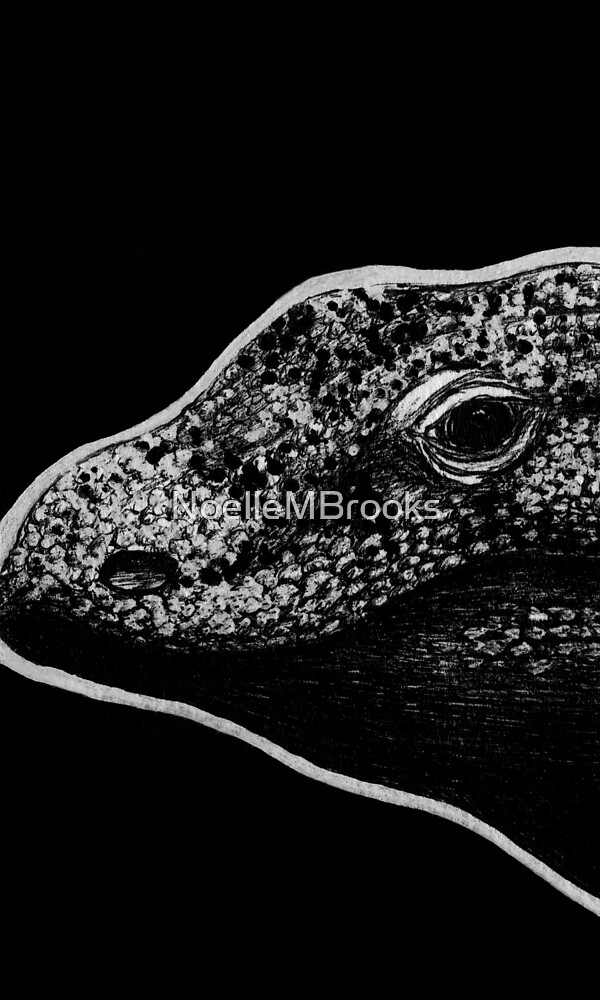 Leucism Komodo Dragon By Noellembrooks Redbubble