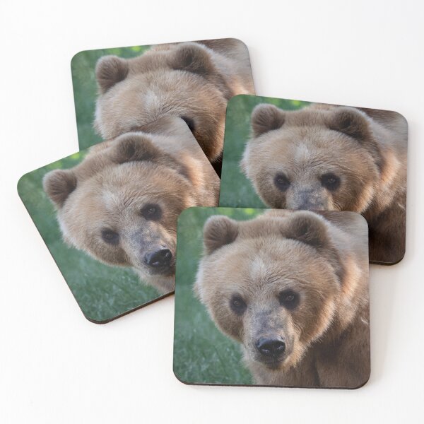 Item preview, Kamchatka bear in the grass  designed and sold by LubosChlubny.