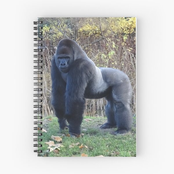 Item preview, Sexy Gorilla in the garden designed and sold by Catavan.