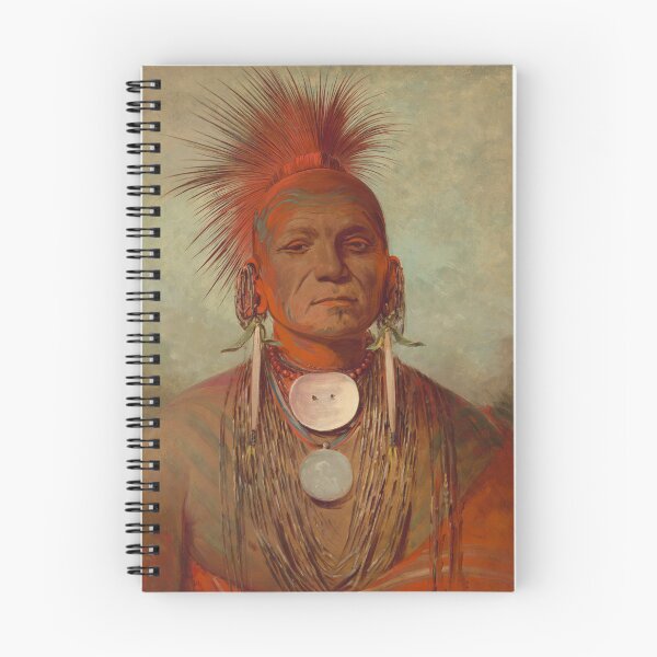 Item preview, See-non-ty-a, an Iowa Medicine Man - George Catlin designed and sold by TheGuestCat.