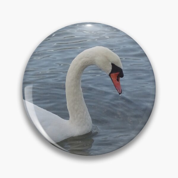 Item preview, Swan on the water designed and sold by Catavan.