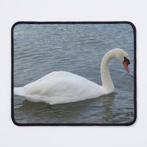 Item preview, Swan on the water designed and sold by Catavan.