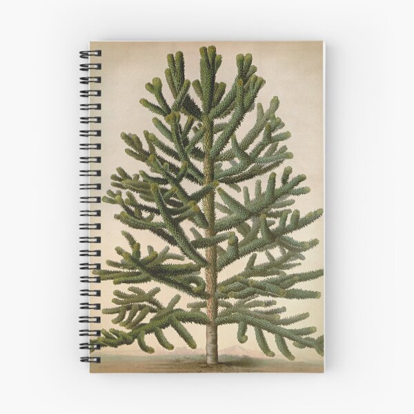 Item preview, Pine Tree, Patagonian pine, vintage tree designed and sold by LeAllureVintage.