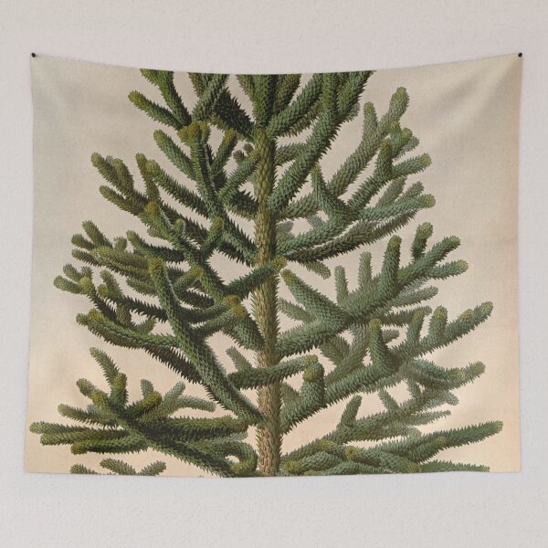 Item preview, Pine Tree, Patagonian pine, vintage tree designed and sold by LeAllureVintage.