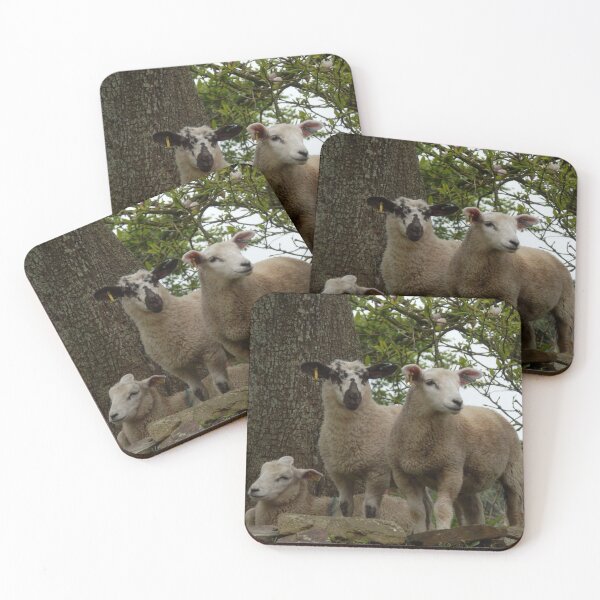Item preview, English Lambs designed and sold by catrantula.