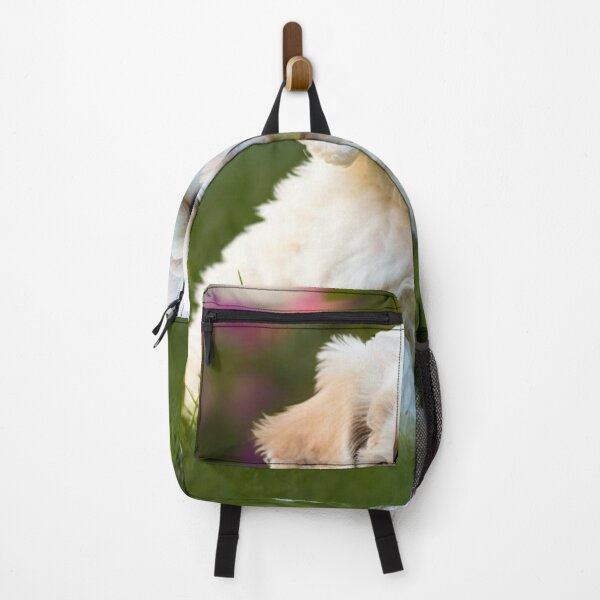 Item preview, Cavachon designed and sold by Invisible Wizard.