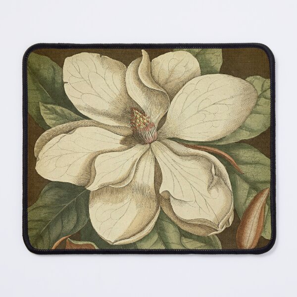 Item preview, Vintage white magnolia, vintage botanical big flower. designed and sold by LeAllureVintage.