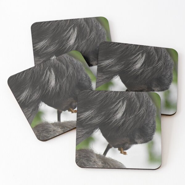 Item preview, Three-toed  Sloth designed and sold by Sharon the Zoo Lady Photography .