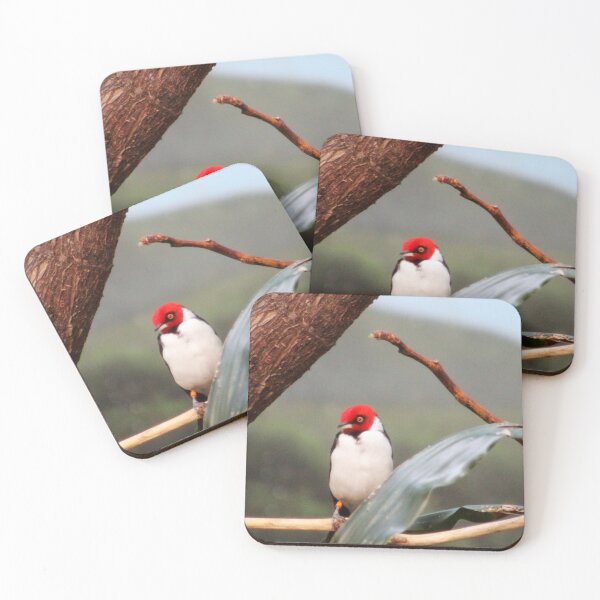 Item preview, Red-capped Cardinal designed and sold by Cynthia48.