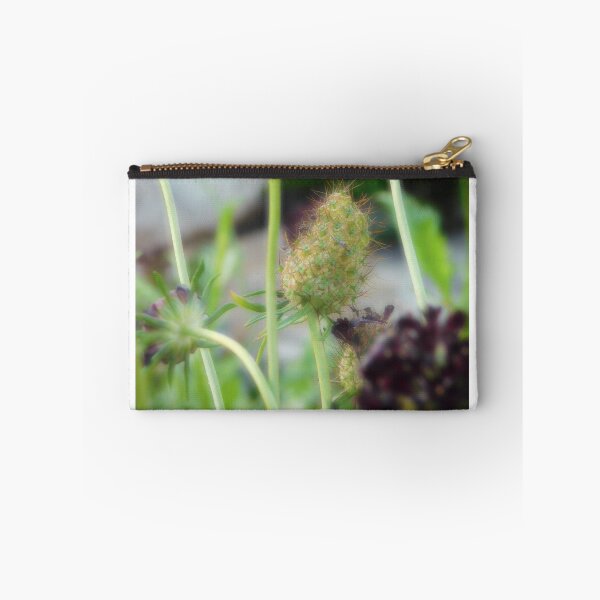 Item preview.