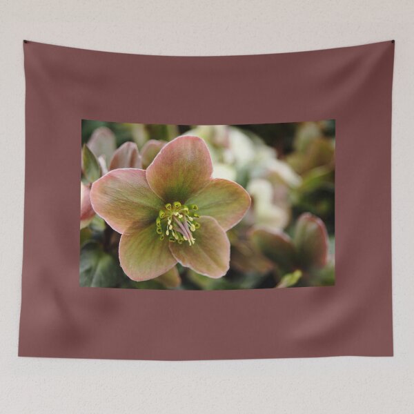 Item preview, Lenten Hellebore designed and sold by Debbie Oppermann.