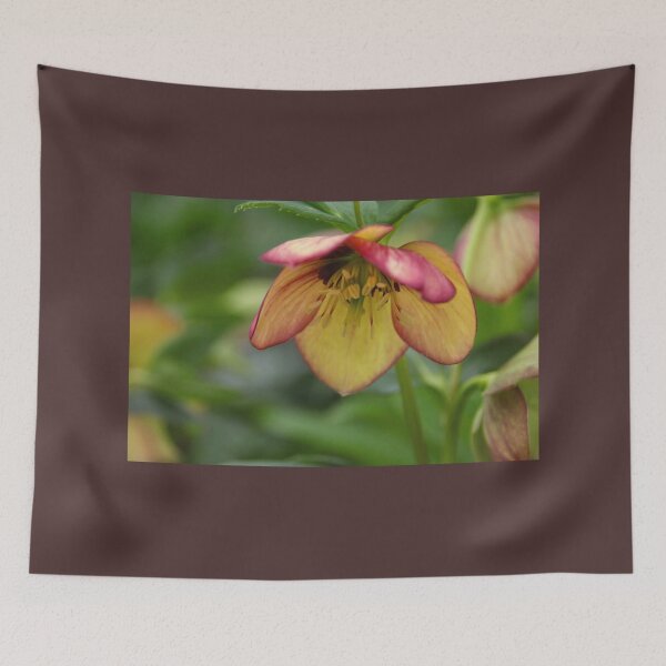 Item preview, Heavenly Lenten Rose designed and sold by Debbie Oppermann.