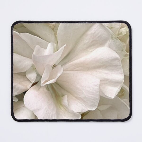 Item preview, Pretty white geranium designed and sold by countychic.
