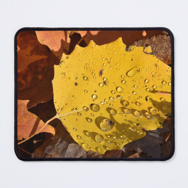 Item preview, A leaf in the fall designed and sold by Claude Laprise.