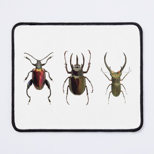 Item preview, Beetle Insects Insects Kind Coleoptera Beetle Animals Colorful 2 designed and sold by DOM-Shop.