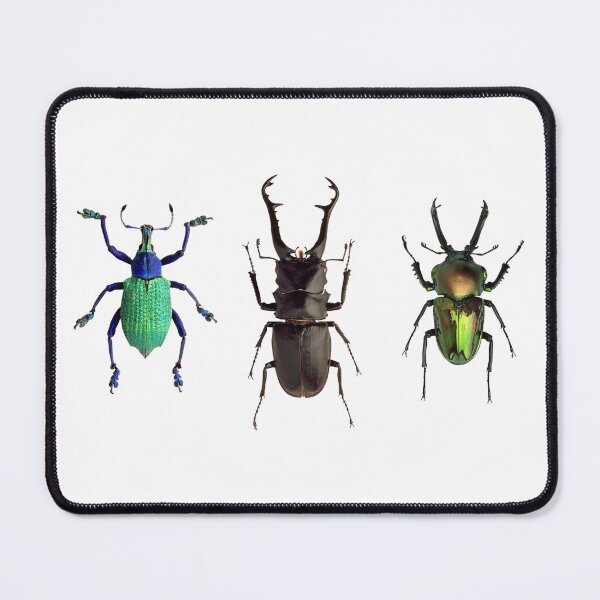 Item preview, Beetles Insects Insects Kind Coleoptera Beetles Animals Colorful 3 designed and sold by DOM-Shop.