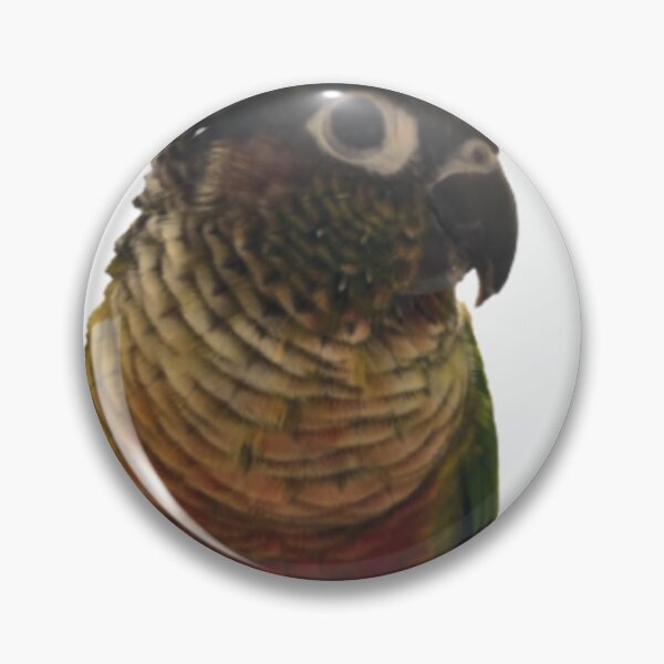 Item preview, Green Cheek Conure design | Conure | Small Parrot | Parakeet | Parrot lover designed and sold by TatianaLG.