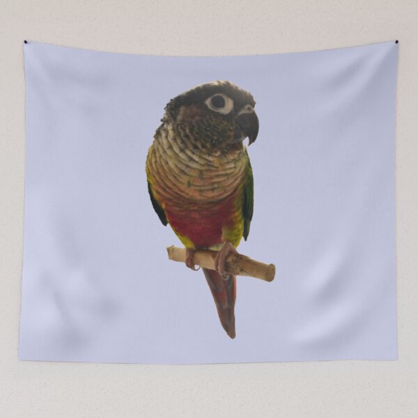 Item preview, Green Cheek Conure design | Conure | Small Parrot | Parakeet | Parrot lover designed and sold by TatianaLG.