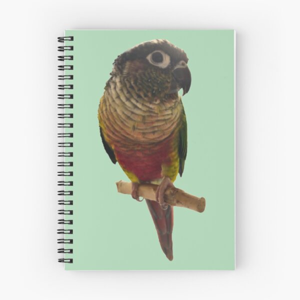 Item preview, Green Cheek Conure design | Conure | Small Parrot | Parakeet | Parrot lover designed and sold by TatianaLG.