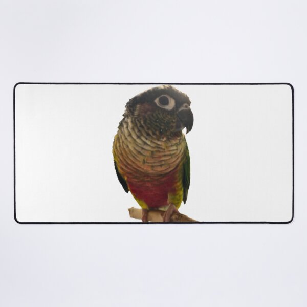 Item preview, Green Cheek Conure design | Conure | Small Parrot | Parakeet | Parrot lover designed and sold by TatianaLG.