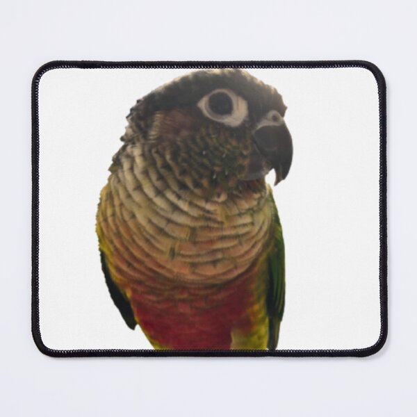 Item preview, Green Cheek Conure design | Conure | Small Parrot | Parakeet | Parrot lover designed and sold by TatianaLG.