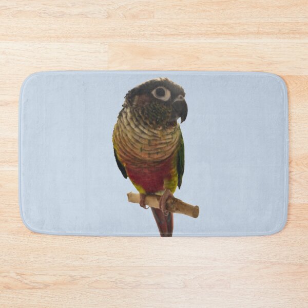 Item preview, Green Cheek Conure design | Conure | Small Parrot | Parakeet | Parrot lover designed and sold by TatianaLG.