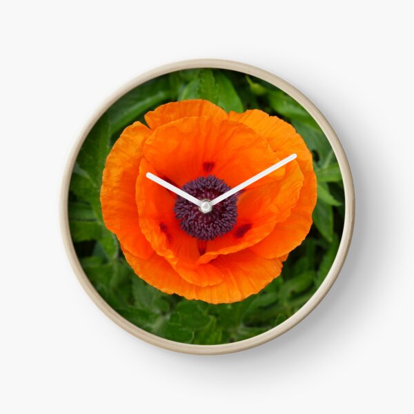 Poppy Clock