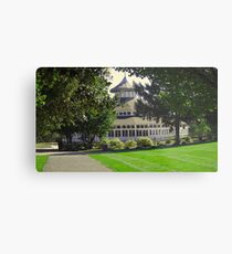 Carousel Metal Print