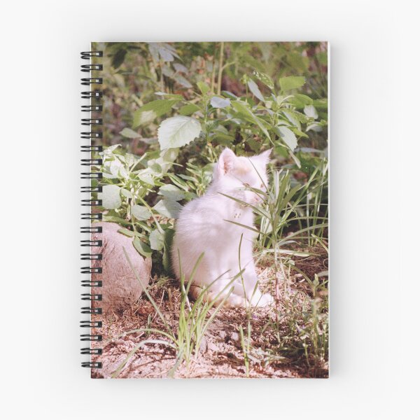Item preview, Cat Jonny's look through the flower designed and sold by Gourmetkater.