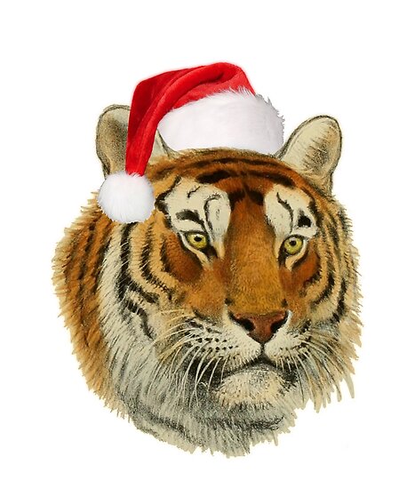 tiger with santa hat        
        <figure class=