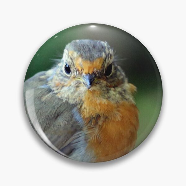 Item preview, Robin designed and sold by planetrandomuk.