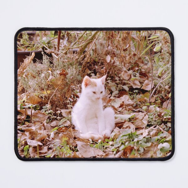 Item preview, Cat Jonny in the autumn leaves designed and sold by Gourmetkater.