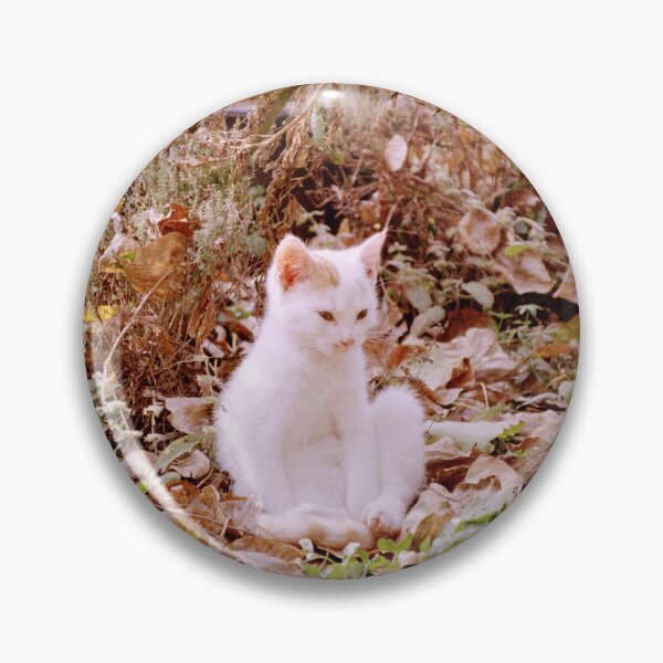Item preview, Cat Jonny in the autumn leaves designed and sold by Gourmetkater.