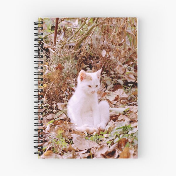 Item preview, Cat Jonny in the autumn leaves designed and sold by Gourmetkater.