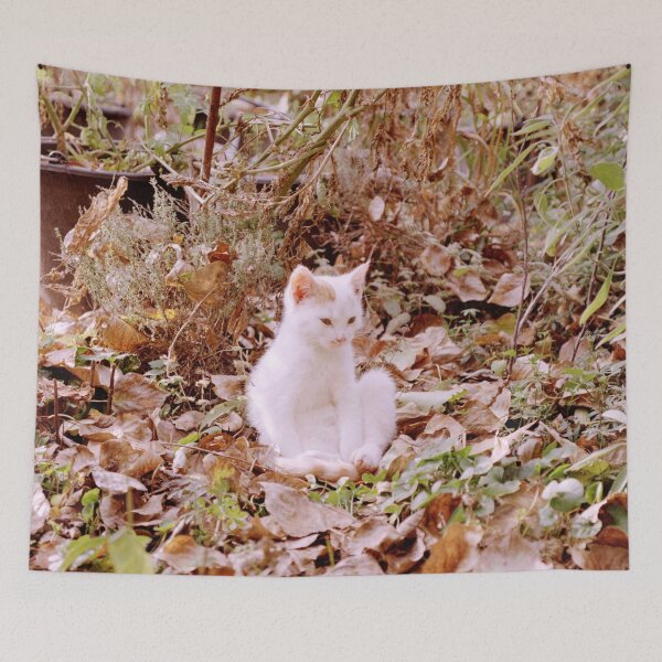 Item preview, Cat Jonny in the autumn leaves designed and sold by Gourmetkater.