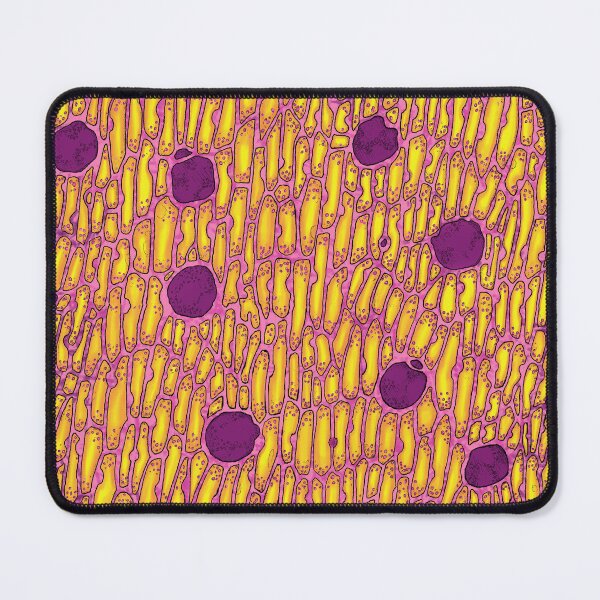 Item preview, Venus Flytrap Cells in Amber designed and sold by Tippitiwichet.