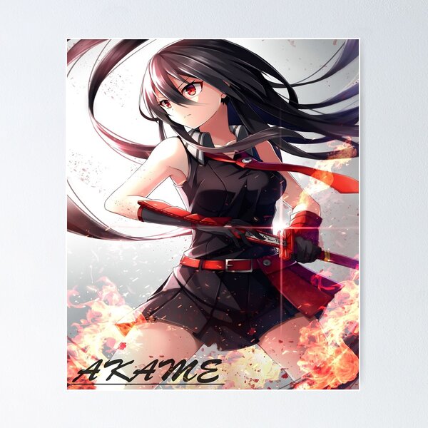 Akame ga KILL! ZERO, Vol. 3 on Apple Books