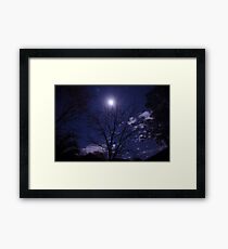 Moony Framed Print