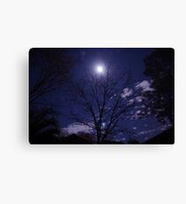 Moony Canvas Print