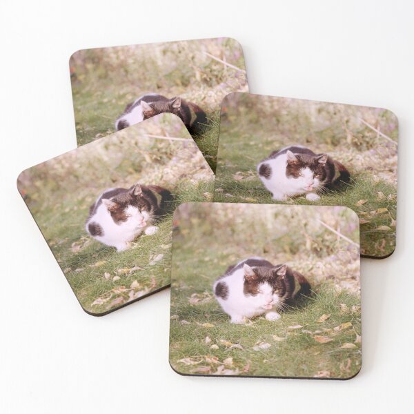 Item preview, Cat Ragnar shows his tongue designed and sold by Gourmetkater.