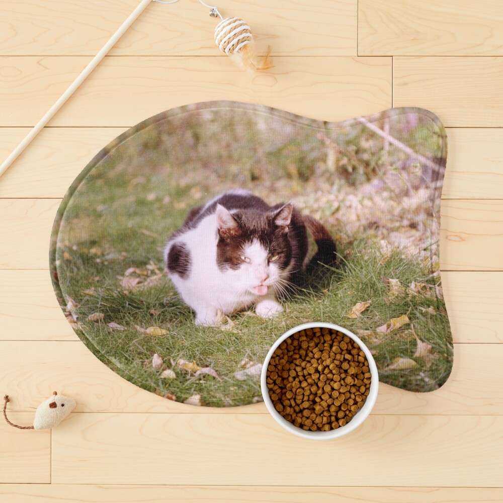Artikel-Vorschau von Napfunterlage für Katzen, designt und verkauft von Gourmetkater.