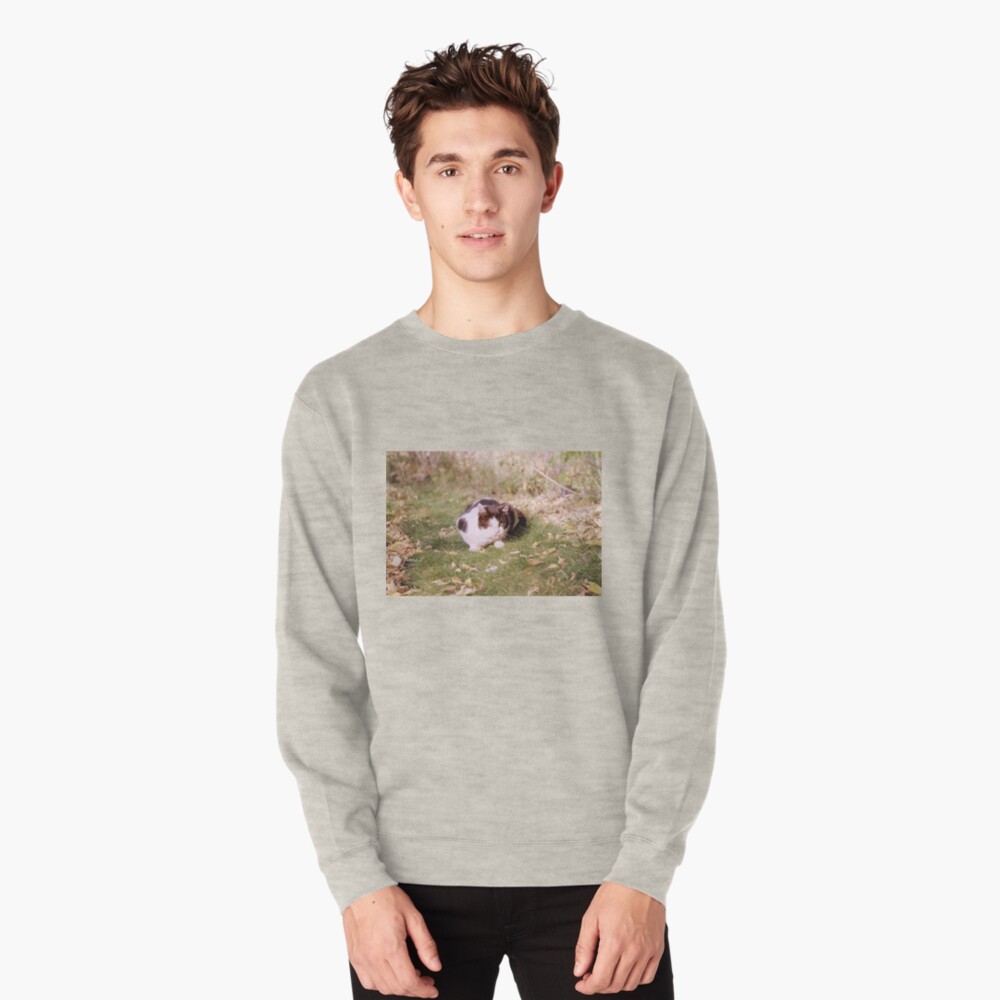 Artikel-Vorschau von Pullover, designt und verkauft von Gourmetkater.