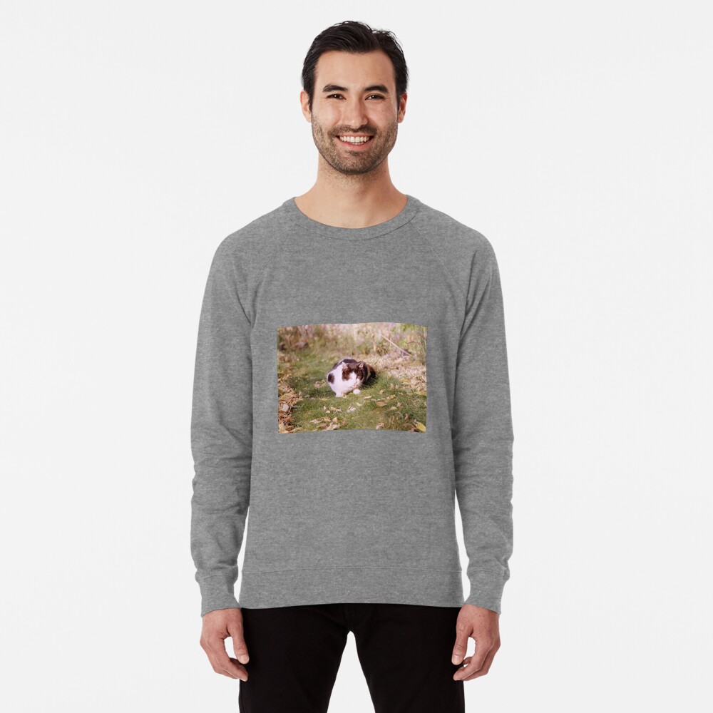 Artikel-Vorschau von Leichter Pullover, designt und verkauft von Gourmetkater.